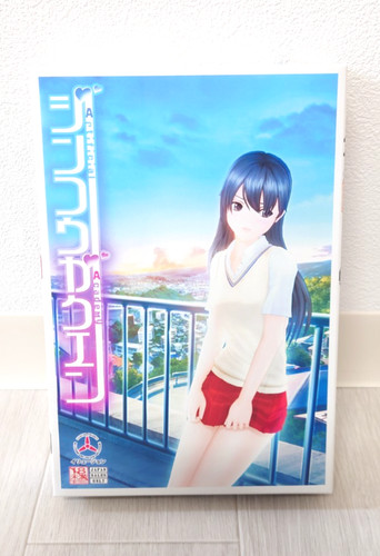 Jinkou gakuen spiel - pc, dvd